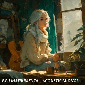 Gentle Acoustic Story (When Did I Forget Who I Was)