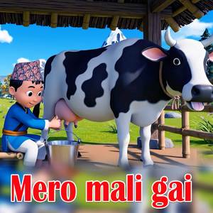 Mero mali gai