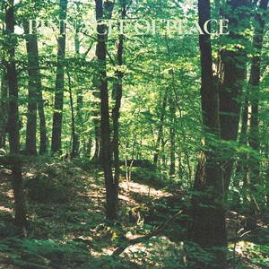 Forest Glow (Spa)