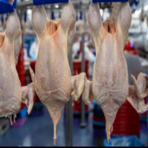 When the whistle went quiet