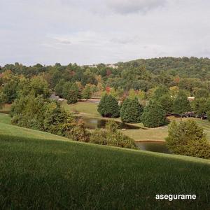 asegurame (feat. Paul Zach)