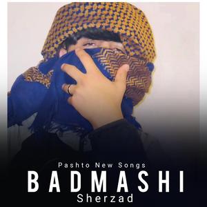 Badmashi (feat. Sherzad)