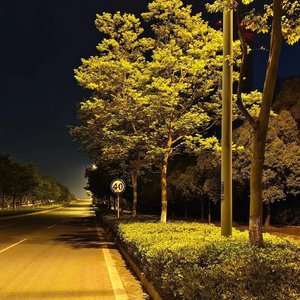 思念