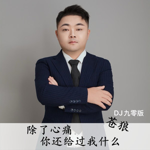 除了心痛你还给过我什么 (DJ九零版)
