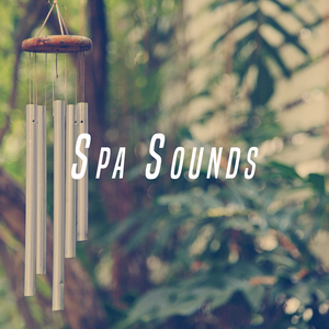 Meditaton: April Rain