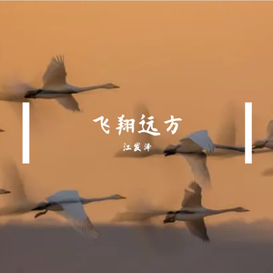 飞翔远方 伴奏