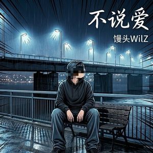 不说爱