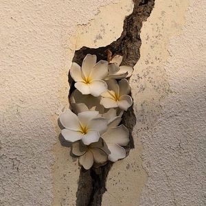 【Can't Stop Me】灵魂乐采样说唱/复古/嘻哈说唱伴奏，GALI Type Beat