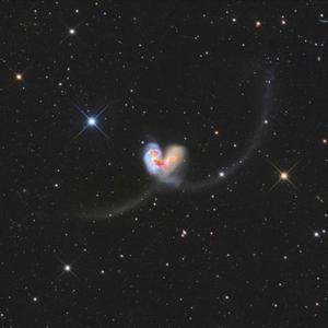 It Won't Kill Ya（翻自 Louane）