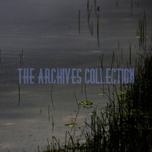 The Airport Terminal