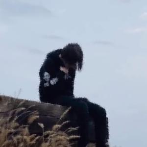 yousaidyou’dgetbetter, sodoit.