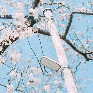 世界上的另一个我（cover by ukulele）