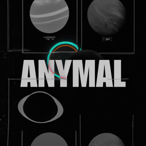 ANYMAL
