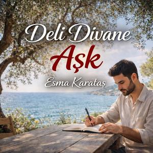 Deli Divane Aşk