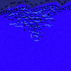 为谁流下的眼泪」