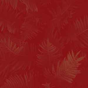 精彩周日放松环境