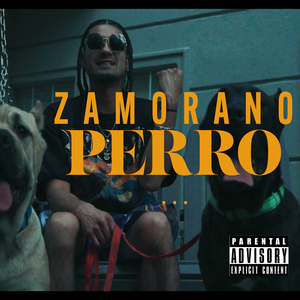 Perro