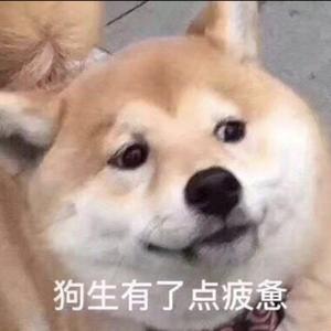 狗生疲惫（Prod by Nino）