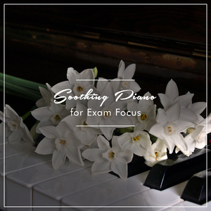 Beethoven's Sonata Waldstein Op 53 II Introduzione adagio Molto