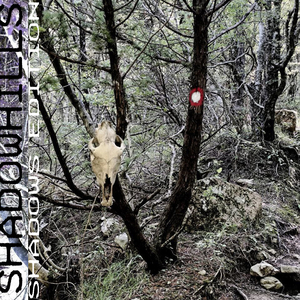 Обезоружен