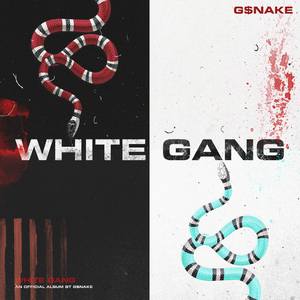 Джунгли Adidas