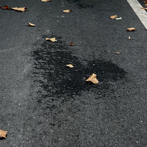 《哎，爱》prod.by Morrow x Pizzie