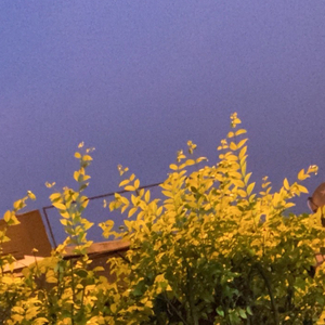 เธอคือความงดงามของโลกใบนี้