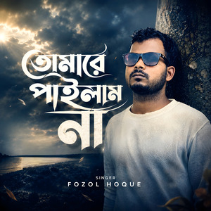 তোমারে পাইলাম না