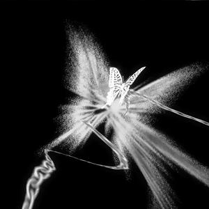 风的日记（DJ混音版）