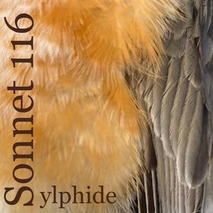Sonnet 116