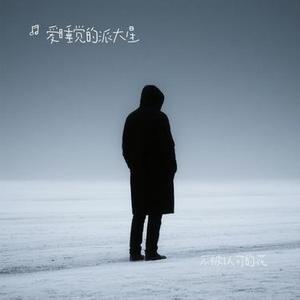 不被认可的花 (Cover 糯米Nomi)