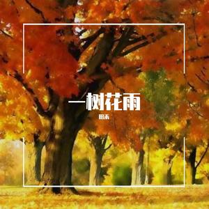 一个错误的抉择