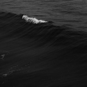 刘若英-后来（张蔡富 remix）