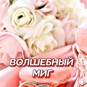ВОЛШЕБНЫЙ МИГ