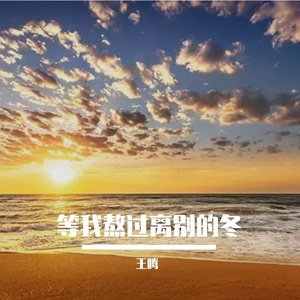 等我熬过离别的冬 (烟嗓版)