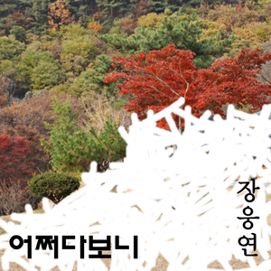 어쩌다보니