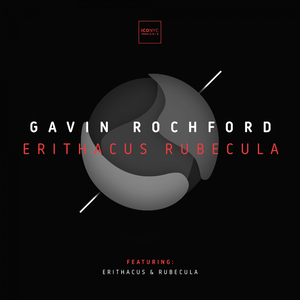 Erithacus (Original Mix)