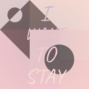 No More Tears (Remix)