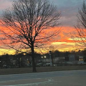 you betrayed me (feat. 999ines)