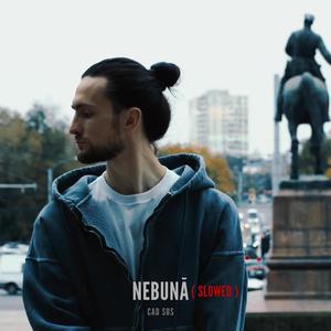 NEBUNĂ - slowed