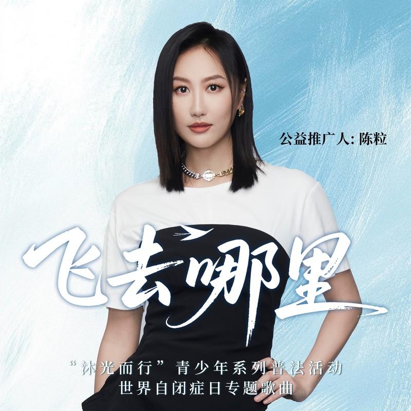 飞去哪里