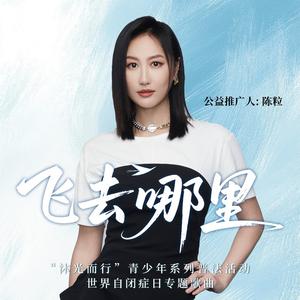 飞去哪里