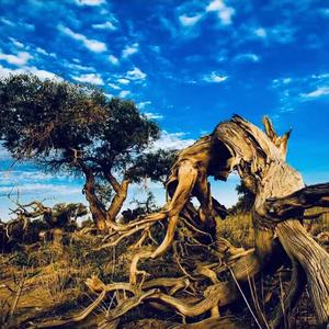 Ikki Mehelle Qoshiqi