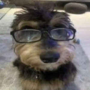 Talk for Me (slowed)