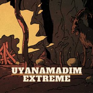 Uyanamadım