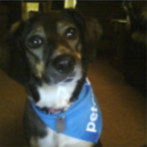 Nothing Can Depress Me