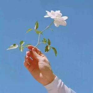 这一生关于你的风景