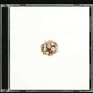 我曾经也爱过她（像春天爱过枝桠）