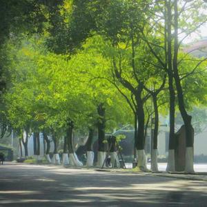 乘风（The Leaving Season）