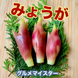 みょうが